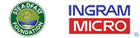 Ingram Micro, the steadfast foundation